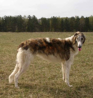 Подробнее...