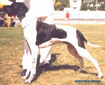 Подробнее...