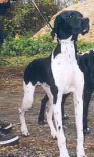 Подробнее...