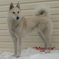 Подробнее...