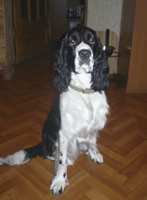 Подробнее...