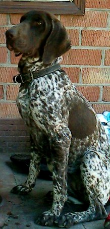 Подробнее...