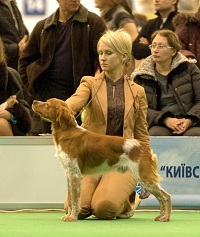 Подробнее...