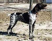 Подробнее...