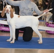 Подробнее...