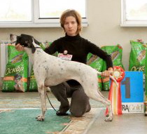 Подробнее...