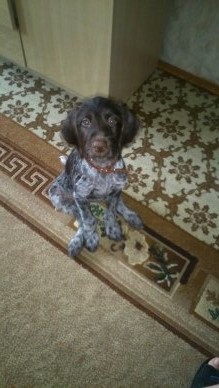 Подробнее...