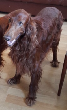 Подробнее...