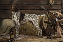 Подробнее...